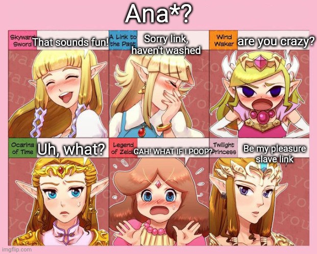 Zeldas Response | Ana*? That sounds fun! are you crazy? Sorry link, haven't washed; Uh, what? GAH! WHAT IF I POOP? Be my pleasure slave link | image tagged in zelda's response | made w/ Imgflip meme maker