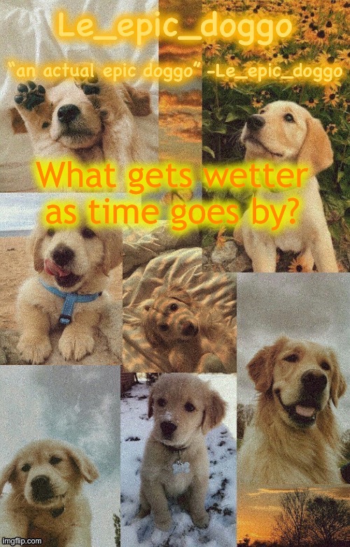 Doggo temp by doggo. Wait what that’s confusing | What gets wetter as time goes by? | image tagged in doggo temp by doggo wait what that s confusing | made w/ Imgflip meme maker