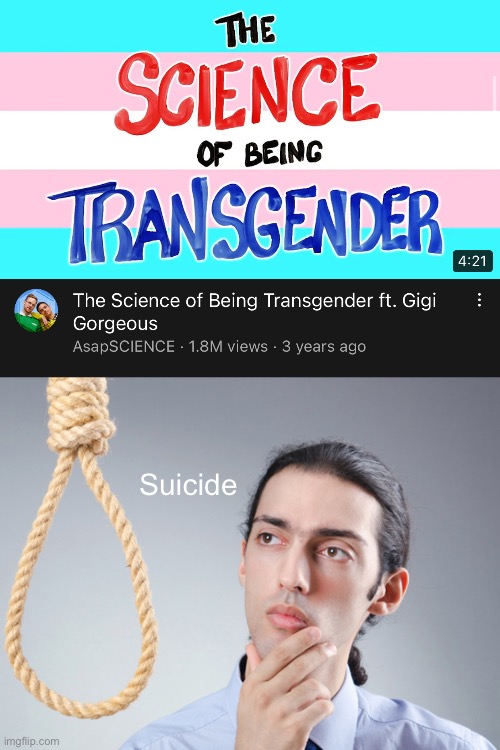 Suicide | image tagged in noose,memes | made w/ Imgflip meme maker