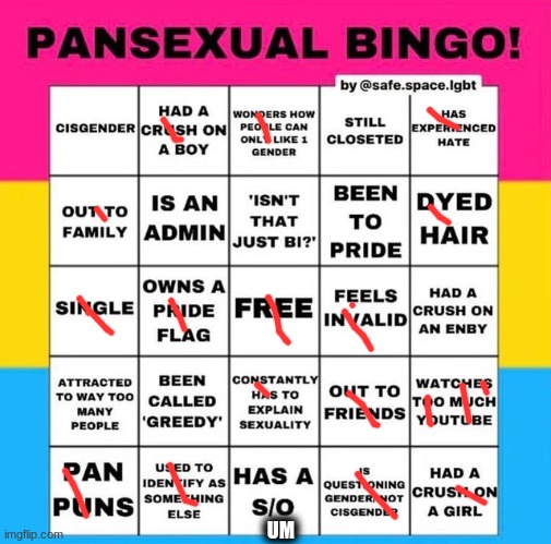 :) |  UM | image tagged in pansexual bingo | made w/ Imgflip meme maker