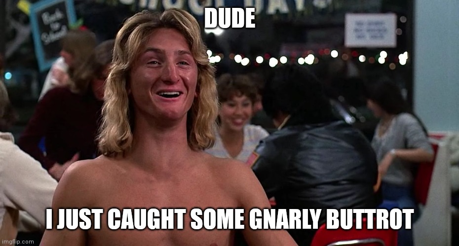 Sean Penn | DUDE; I JUST CAUGHT SOME GNARLY BUTTROT | image tagged in sean penn | made w/ Imgflip meme maker