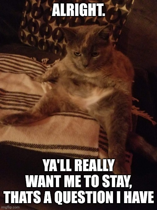 If No, I'll be the man of word, I'll leave | ALRIGHT. YA'LL REALLY WANT ME TO STAY, THATS A QUESTION I HAVE | image tagged in human cat | made w/ Imgflip meme maker