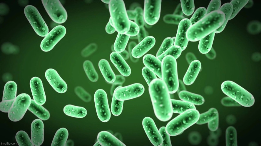 Green Bacteria | image tagged in green bacteria | made w/ Imgflip meme maker