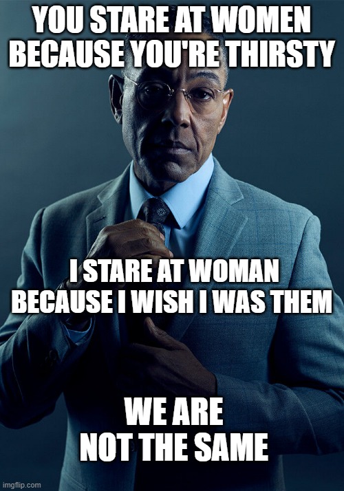 Gus Fring we are not the same | YOU STARE AT WOMEN BECAUSE YOU'RE THIRSTY; I STARE AT WOMAN BECAUSE I WISH I WAS THEM; WE ARE NOT THE SAME | image tagged in gus fring we are not the same | made w/ Imgflip meme maker