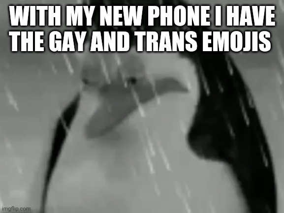 Sadge | WITH MY NEW PHONE I HAVE THE GAY AND TRANS EMOJIS | image tagged in sadge | made w/ Imgflip meme maker