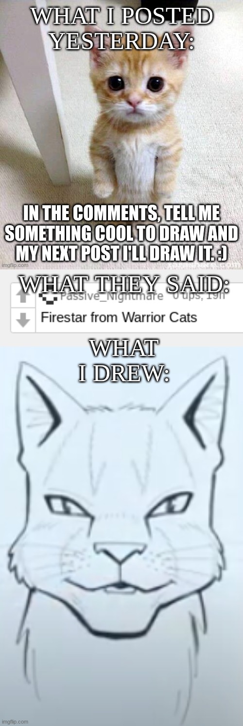 Mission Passed Respect+ |  WHAT I POSTED YESTERDAY:; WHAT THEY SAID:; WHAT I DREW: | image tagged in fun,cat,noice | made w/ Imgflip meme maker