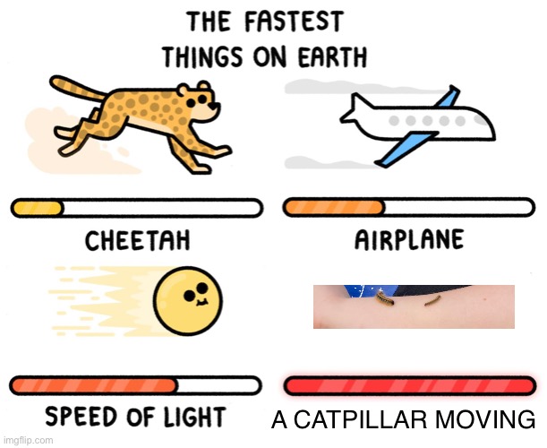 sonic speed | A CATPILLAR MOVING | image tagged in fastest thing on earth,sonic | made w/ Imgflip meme maker