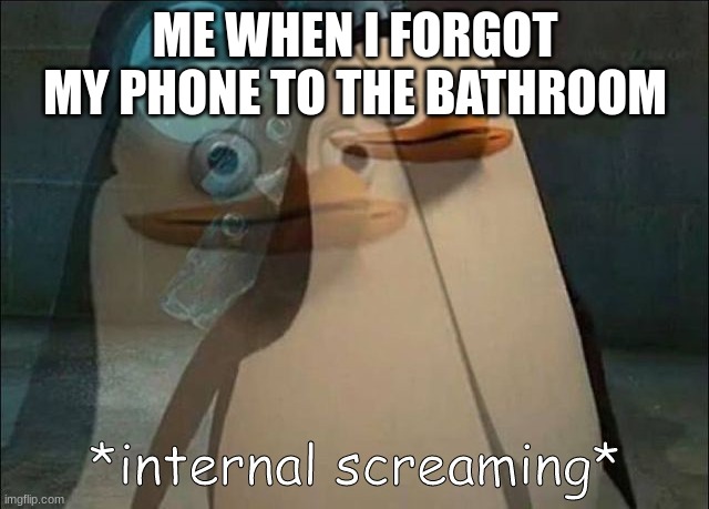 Private Internal Screaming | ME WHEN I FORGOT MY PHONE TO THE BATHROOM | image tagged in private internal screaming | made w/ Imgflip meme maker