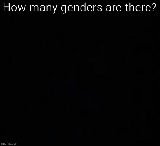 Hint: 2 | How many genders are there? | image tagged in blank dark mode template,2 | made w/ Imgflip meme maker