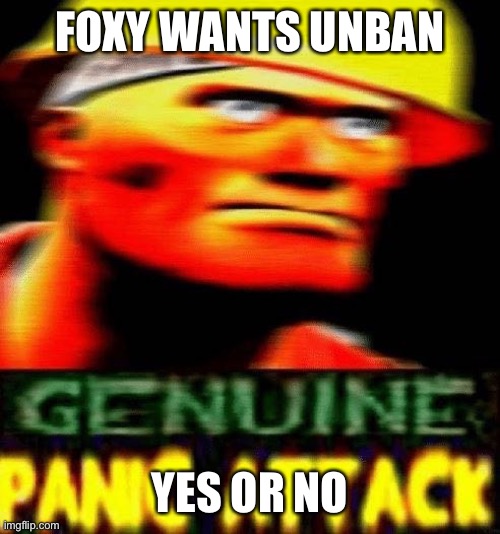 Genuine Panic attack | FOXY WANTS UNBAN; YES OR NO | image tagged in genuine panic attack | made w/ Imgflip meme maker