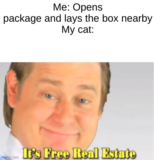 I think I know what will happen | Me: Opens package and lays the box nearby

My cat: | image tagged in it's free real estate | made w/ Imgflip meme maker