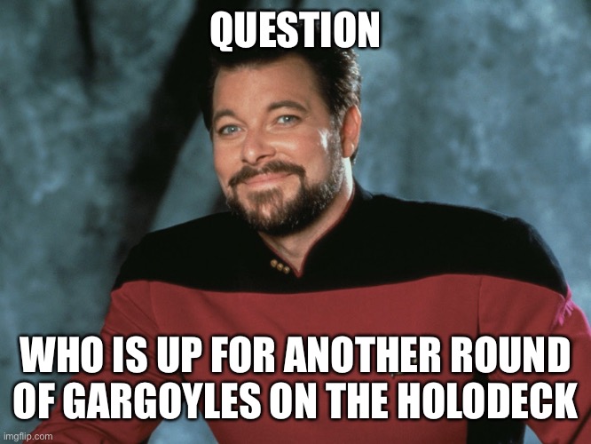 William Riker | QUESTION; WHO IS UP FOR ANOTHER ROUND OF GARGOYLES ON THE HOLODECK | image tagged in william riker,gargoyles | made w/ Imgflip meme maker