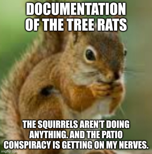 kdn;jkefje | DOCUMENTATION OF THE TREE RATS; THE SQUIRRELS AREN’T DOING ANYTHING. AND THE PATIO CONSPIRACY IS GETTING ON MY NERVES. | image tagged in kdn jkefje | made w/ Imgflip meme maker