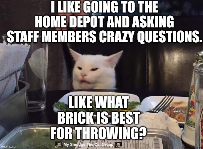 I LIKE GOING TO THE HOME DEPOT AND ASKING STAFF MEMBERS CRAZY QUESTIONS. LIKE WHAT BRICK IS BEST FOR THROWING? | image tagged in smudge the cat | made w/ Imgflip meme maker