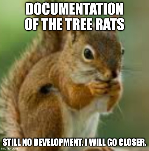 my mother asked if I wanted some crackers. bitch I am one now leave me alone. | DOCUMENTATION OF THE TREE RATS; STILL NO DEVELOPMENT. I WILL GO CLOSER. | image tagged in kdn jkefje | made w/ Imgflip meme maker