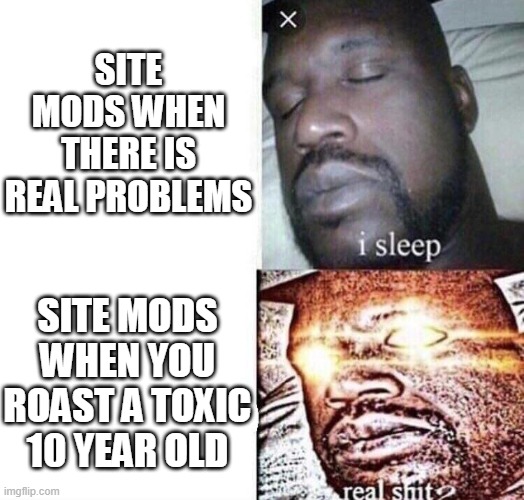i sleep real shit | SITE MODS WHEN THERE IS REAL PROBLEMS SITE MODS WHEN YOU ROAST A TOXIC 10 YEAR OLD | image tagged in i sleep real shit | made w/ Imgflip meme maker