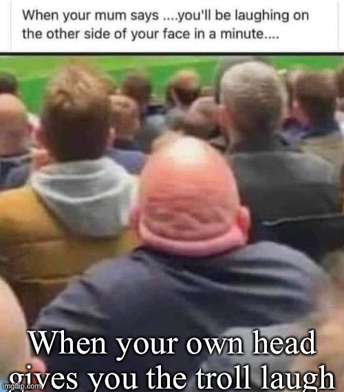 Troll head | When your own head gives you the troll laugh | image tagged in troll,laugh,head,troll face | made w/ Imgflip meme maker