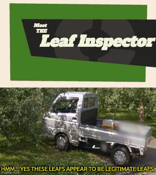 This truck though |  Meet
THE; Leaf Inspector; HMM... YES THESE LEAFS APPEAR TO BE LEGITIMATE LEAFS. | image tagged in meet the blank,truck | made w/ Imgflip meme maker