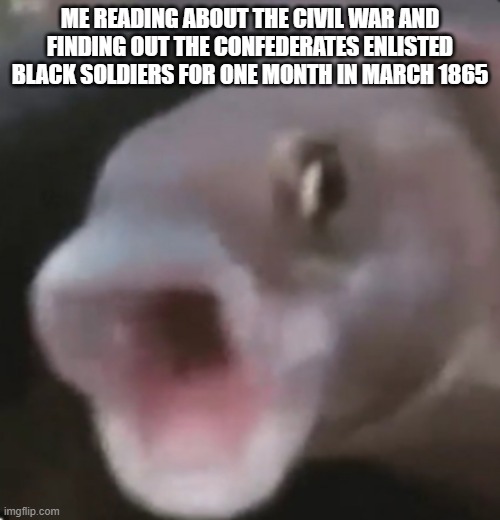 Poggers Fish | ME READING ABOUT THE CIVIL WAR AND FINDING OUT THE CONFEDERATES ENLISTED BLACK SOLDIERS FOR ONE MONTH IN MARCH 1865 | image tagged in poggers fish | made w/ Imgflip meme maker