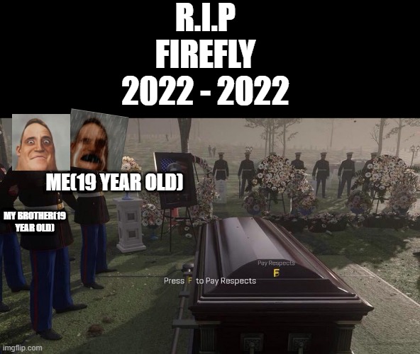 Press F to Pay Respects | R.I.P
FIREFLY
2022 - 2022 ME(19 YEAR OLD) MY BROTHER(19 YEAR OLD) | image tagged in press f to pay respects | made w/ Imgflip meme maker