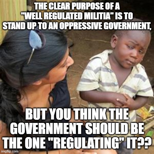 so youre telling me | THE CLEAR PURPOSE OF A "WELL REGULATED MILITIA" IS TO STAND UP TO AN OPPRESSIVE GOVERNMENT, BUT YOU THINK THE GOVERNMENT SHOULD BE THE ONE "REGULATING" IT?? | image tagged in so youre telling me | made w/ Imgflip meme maker