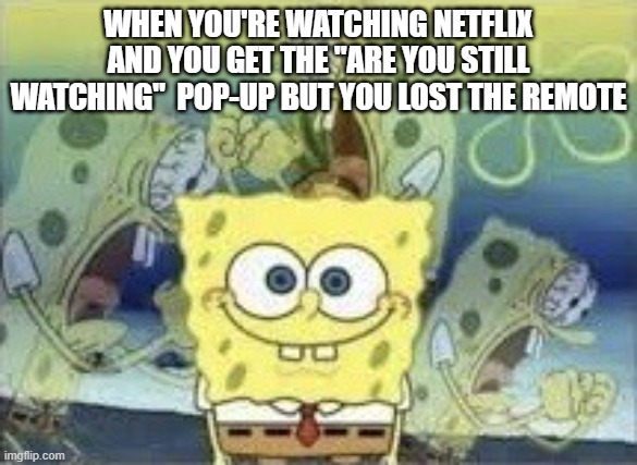 does this happen do you guys? | WHEN YOU'RE WATCHING NETFLIX AND YOU GET THE "ARE YOU STILL WATCHING"  POP-UP BUT YOU LOST THE REMOTE | image tagged in spongebob internal screaming | made w/ Imgflip meme maker
