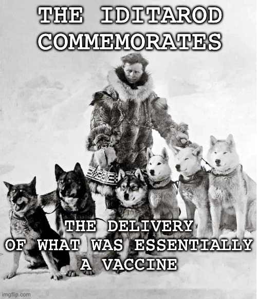 Celebrating the heroic people (and dogs!) who help immunize us | THE IDITAROD
COMMEMORATES; THE DELIVERY OF WHAT WAS ESSENTIALLY
A VACCINE | image tagged in vaccines,history,alaska,heroes,dogs | made w/ Imgflip meme maker