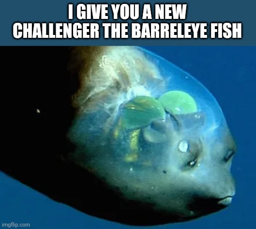 I GIVE YOU A NEW CHALLENGER THE BARRELEYE FISH | made w/ Imgflip meme maker