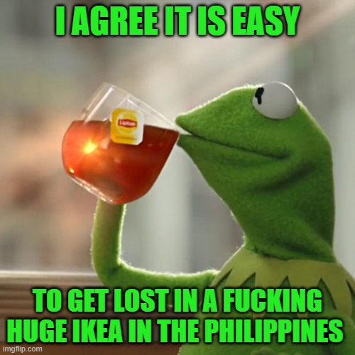 But That's None Of My Business Meme | I AGREE IT IS EASY; TO GET LOST IN A FUCKING HUGE IKEA IN THE PHILIPPINES | image tagged in memes,but that's none of my business,kermit the frog | made w/ Imgflip meme maker