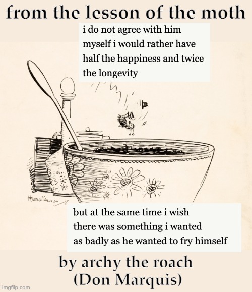 from the lesson of the moth; by archy the roach 
(Don Marquis) | made w/ Imgflip meme maker