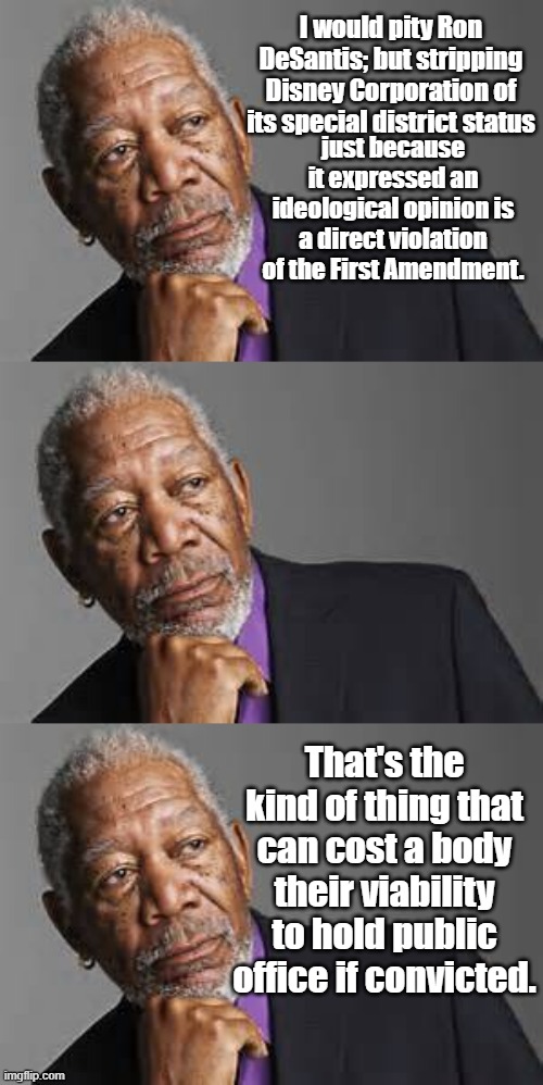 I would pity Ron DeSantis; but stripping Disney Corporation of its special district status; just because it expressed an ideological opinion is a direct violation of the First Amendment. That's the kind of thing that can cost a body their viability to hold public office if convicted. | image tagged in deep thoughts by morgan freeman | made w/ Imgflip meme maker