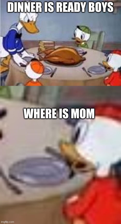 DINNER IS READY BOYS; WHERE IS MOM | image tagged in funny face | made w/ Imgflip meme maker