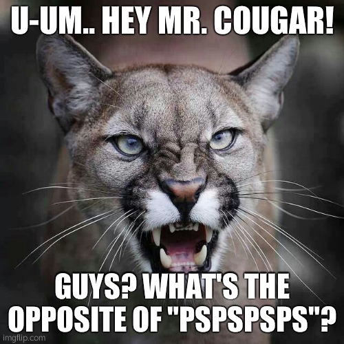 pspspsps | U-UM.. HEY MR. COUGAR! GUYS? WHAT'S THE OPPOSITE OF "PSPSPSPS"? | image tagged in growling cougar mountain lion | made w/ Imgflip meme maker