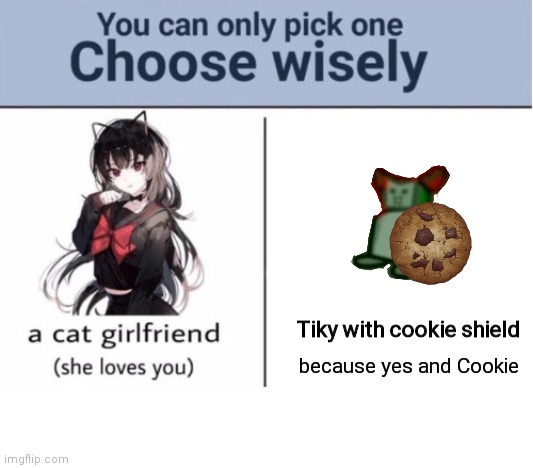Choose very very wisely | Tiky with cookie shield; because yes and Cookie | image tagged in choose wisely,tiky | made w/ Imgflip meme maker