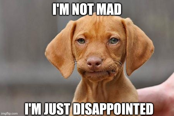 Parents be like | I'M NOT MAD; I'M JUST DISAPPOINTED | image tagged in dissapointed puppy | made w/ Imgflip meme maker