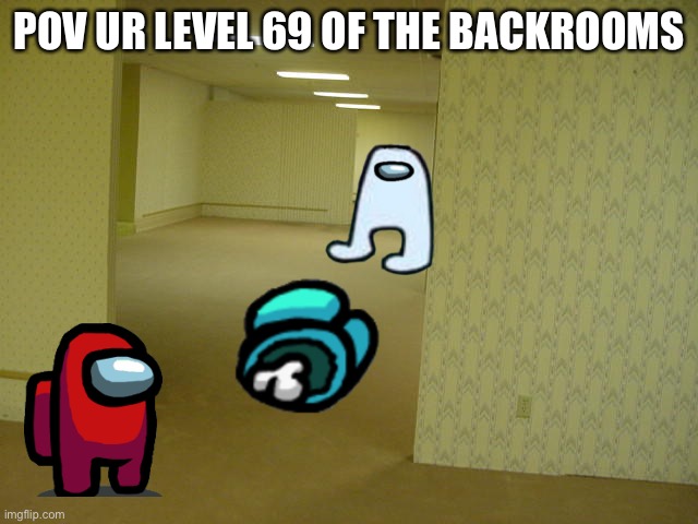 Ze backrooms level 69 | POV UR LEVEL 69 OF THE BACKROOMS | image tagged in the backrooms | made w/ Imgflip meme maker