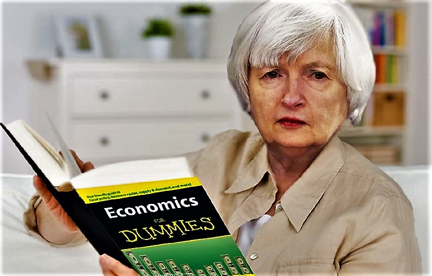 Janet Yellen, Economics for Dummies Blank Meme Template