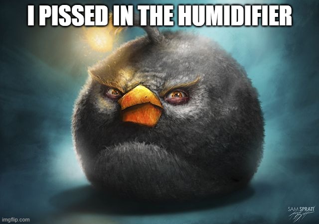 Good title | I PISSED IN THE HUMIDIFIER | image tagged in angry birds bomb,memes,funnys | made w/ Imgflip meme maker