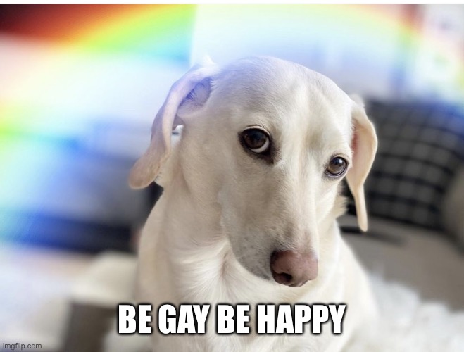 Be Gay be happy and happy pride month! | BE GAY BE HAPPY | image tagged in be gay be happy | made w/ Imgflip meme maker