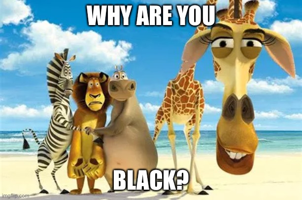 Eww black | WHY ARE YOU; BLACK? | image tagged in why are you white | made w/ Imgflip meme maker