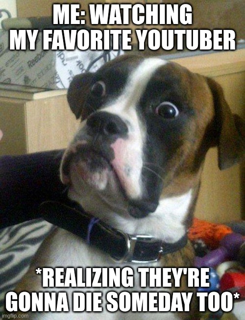 Did Anyone Else Realize This??? |  ME: WATCHING MY FAVORITE YOUTUBER; *REALIZING THEY'RE GONNA DIE SOMEDAY TOO* | image tagged in blankie the shocked dog,blankie,youwilldie,death,shocked,dogmemes | made w/ Imgflip meme maker