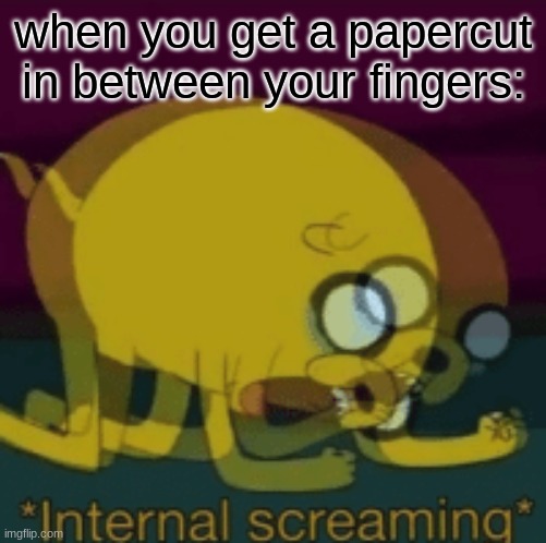 Jake The Dog Internal Screaming | when you get a papercut in between your fingers: | image tagged in jake the dog internal screaming | made w/ Imgflip meme maker