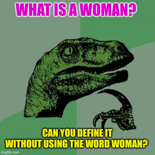 I'm going to keep it short and sweet | WHAT IS A WOMAN? CAN YOU DEFINE IT WITHOUT USING THE WORD WOMAN? | image tagged in memes,philosoraptor | made w/ Imgflip meme maker