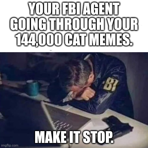 Surrender this criminal stream immediately | YOUR FBI AGENT GOING THROUGH YOUR 144,000 CAT MEMES. MAKE IT STOP. | image tagged in we promise to,not detain you all,in an undisclosed location,why is the fbi here | made w/ Imgflip meme maker