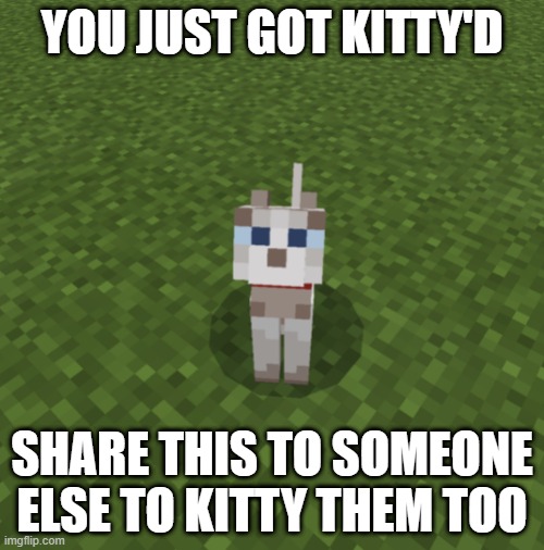 You just got kitty'd | image tagged in kittyd,egeotube | made w/ Imgflip meme maker