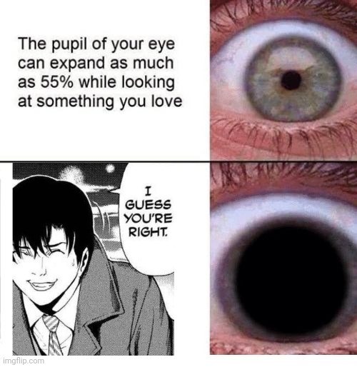Okay but look how cute Matsuda is ♡•♡ | image tagged in expanding pupil | made w/ Imgflip meme maker