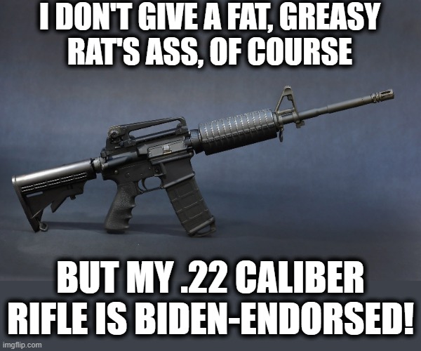 Never shoot a bad guy with a 9mm.  It would just piss him off! | I DON'T GIVE A FAT, GREASY
RAT'S ASS, OF COURSE; BUT MY .22 CALIBER RIFLE IS BIDEN-ENDORSED! | image tagged in memes,joe biden,guns,democrats,gun control,22 caliber | made w/ Imgflip meme maker