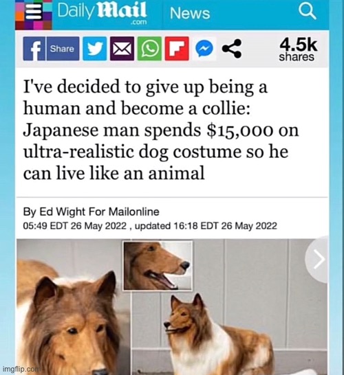 Damn these furries are taking it was too far | made w/ Imgflip meme maker