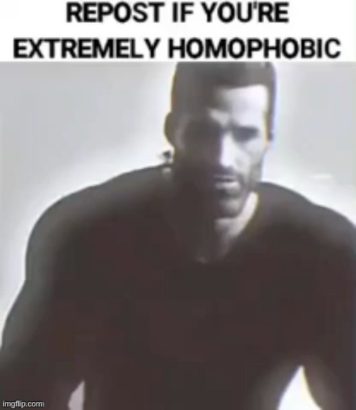 Chad | image tagged in homophobic,giga chad,repost | made w/ Imgflip meme maker