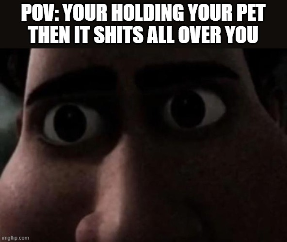 *soft inhale* | POV: YOUR HOLDING YOUR PET
THEN IT SHITS ALL OVER YOU | image tagged in titan stare,memes,funny,pets,shit,poop | made w/ Imgflip meme maker
